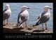 Thumbnail-10