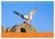 Thumbnail-8