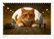 Thumbnail-14