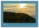 Thumbnail-11