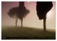 Thumbnail-9
