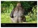Thumbnail-11