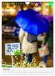 Thumbnail-12