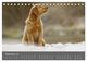 Thumbnail-11