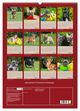 Thumbnail-11