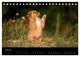 Thumbnail-9