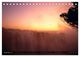 Thumbnail-14
