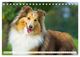 Thumbnail-14