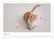 Thumbnail-9