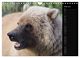Thumbnail-9