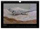Thumbnail-12