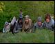 Thumbnail-11