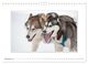 Thumbnail-14