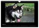 Thumbnail-10