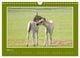 Thumbnail-9