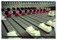 Thumbnail-13