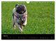 Thumbnail-10