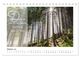 Thumbnail-12