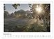 Thumbnail-13