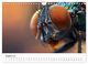 Thumbnail-10