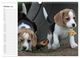 Thumbnail-12