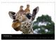 Thumbnail-13