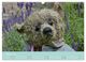 Thumbnail-12