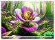 Thumbnail-11