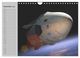 Thumbnail-14