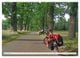 Thumbnail-14