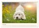 Thumbnail-10