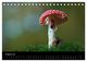 Thumbnail-10