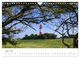 Thumbnail-11
