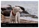 Thumbnail-11