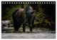 Thumbnail-9
