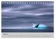 Thumbnail-10