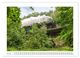 Thumbnail-10