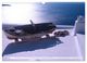 Thumbnail-9
