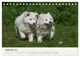 Thumbnail-14