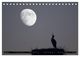 Thumbnail-11