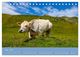 Thumbnail-8