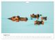 Thumbnail-13