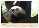 Thumbnail-11
