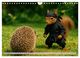 Thumbnail-11