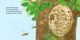 Thumbnail-7