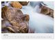 Thumbnail-10