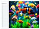 Thumbnail-12