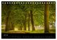 Thumbnail-9