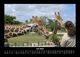 Thumbnail-11