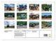 Thumbnail-10